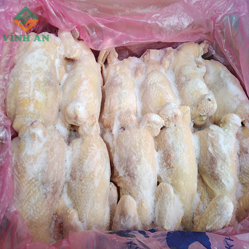 Gà Nguyên con Hàn Quốc Singreen