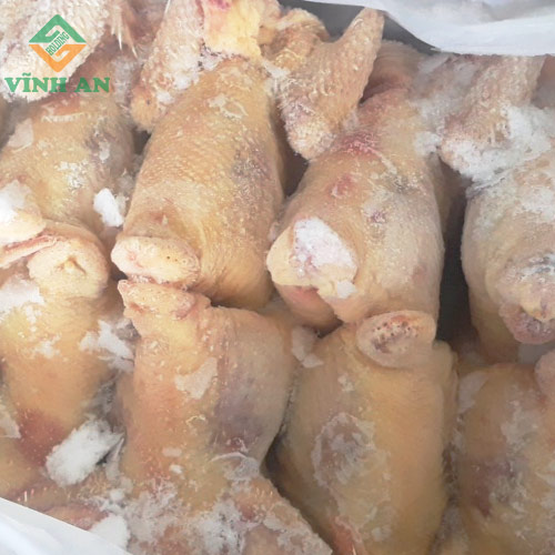 Gà Nguyên con Hàn Quốc Singreen