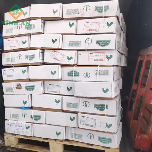 Đùi gà góc tư sanderson