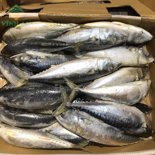 Cá Nục Hoa Nhật