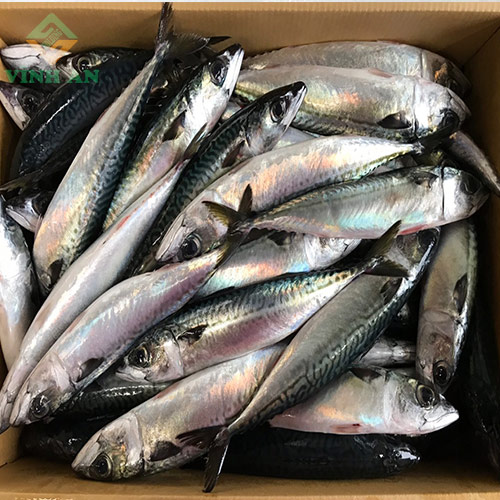 Cá Nục Hoa Nhật