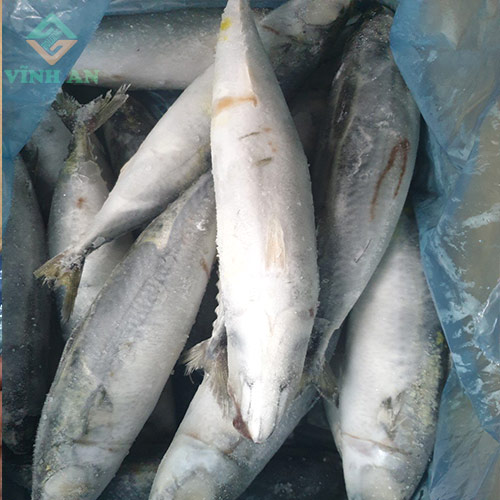 Cá thu nhập khẩu