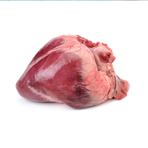 Tim Lợn Vion