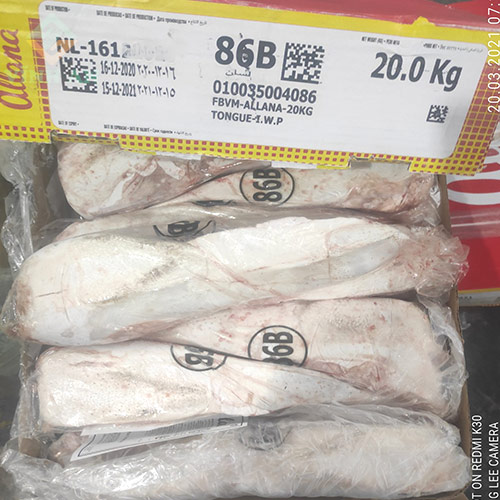 Lưỡi Trâu Ấn Độ M86