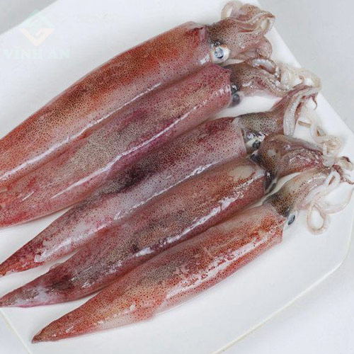 Mực trứng đông lạnh