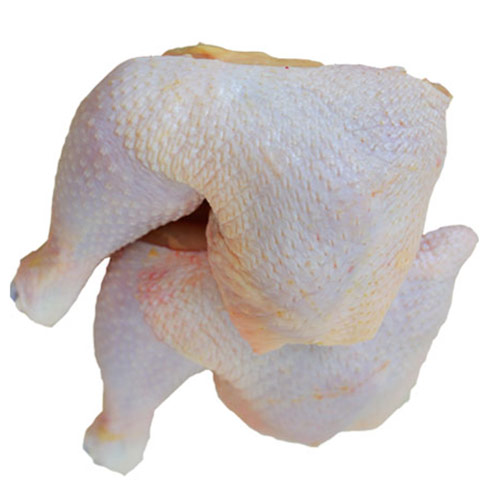 Đùi Gà góc tư chọi mái Lamex Mỹ